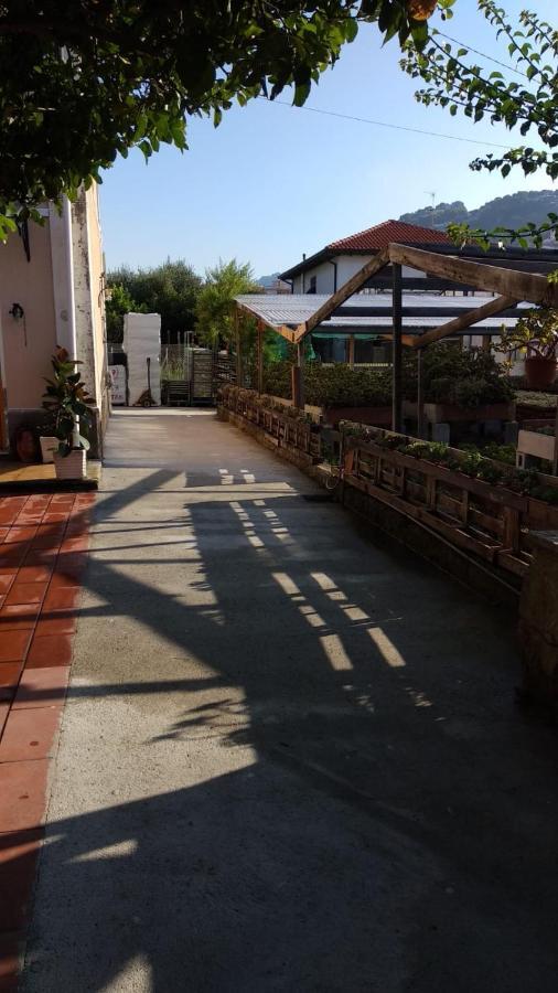 Ca' Federica Villa Vallecrosia Exterior photo